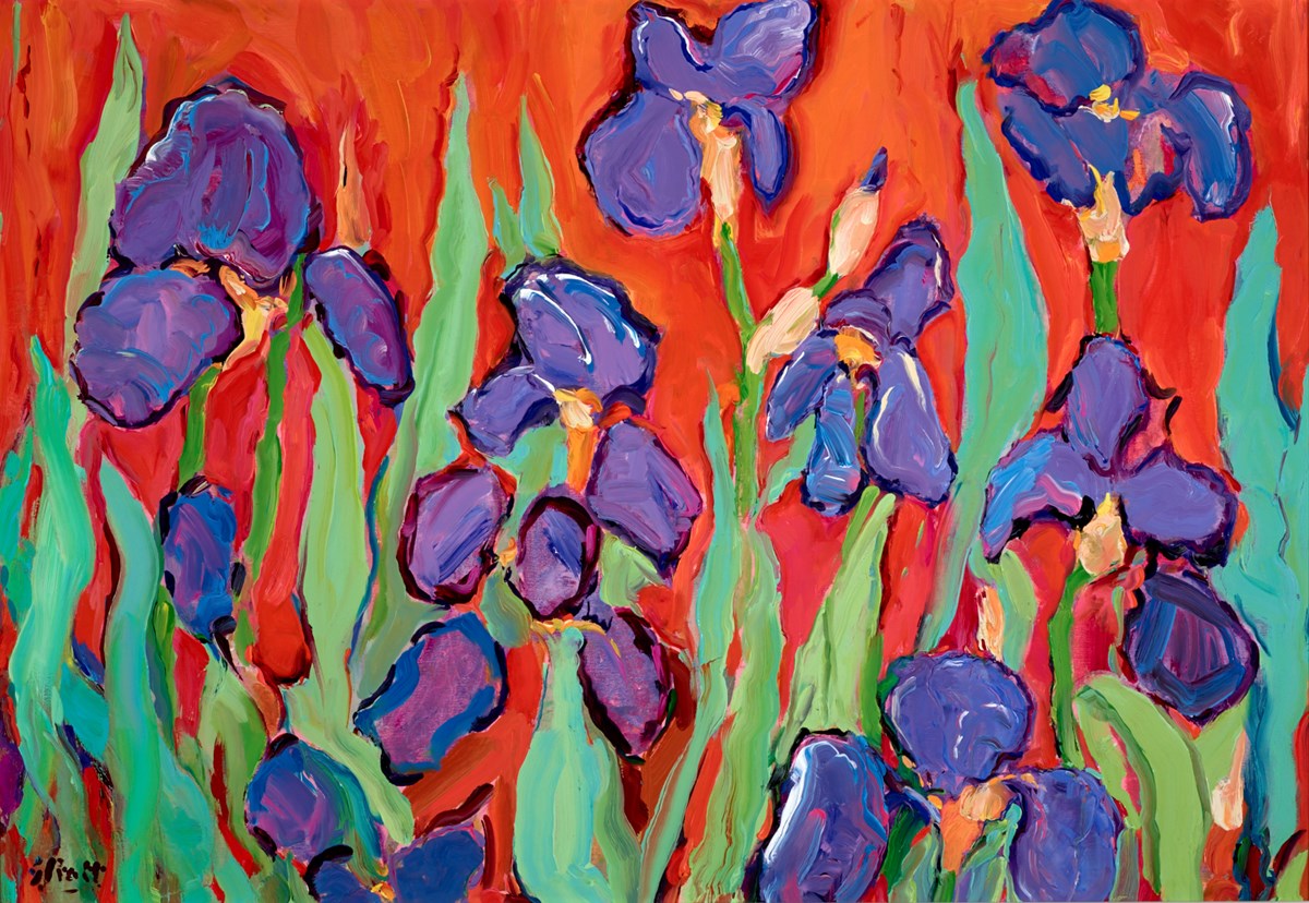 Gilly's Garden